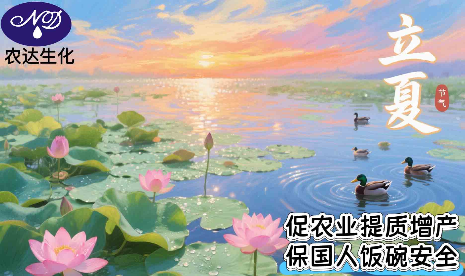 今日,立夏!(圖1) 今日,立夏!(圖1)