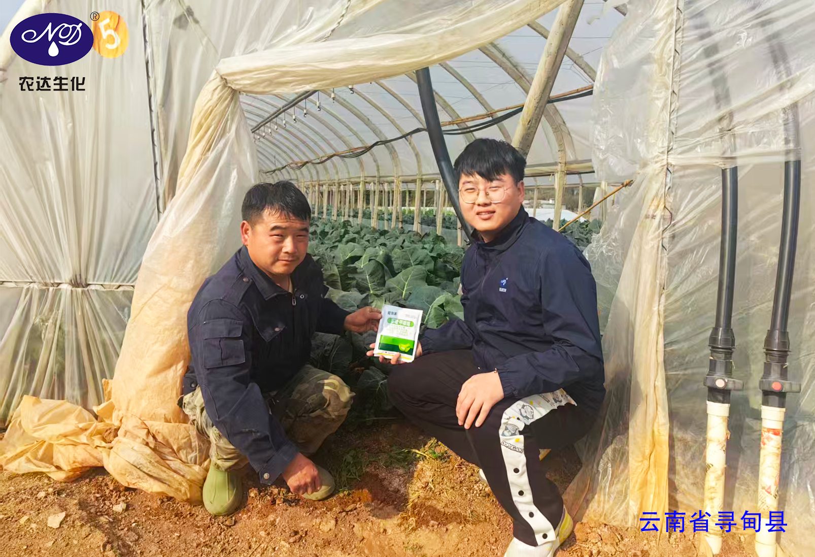 燈火鬧元宵(xiāo) 實幹(gàn)護良田!(圖2) 燈火鬧元宵 實幹護良田!(圖2)