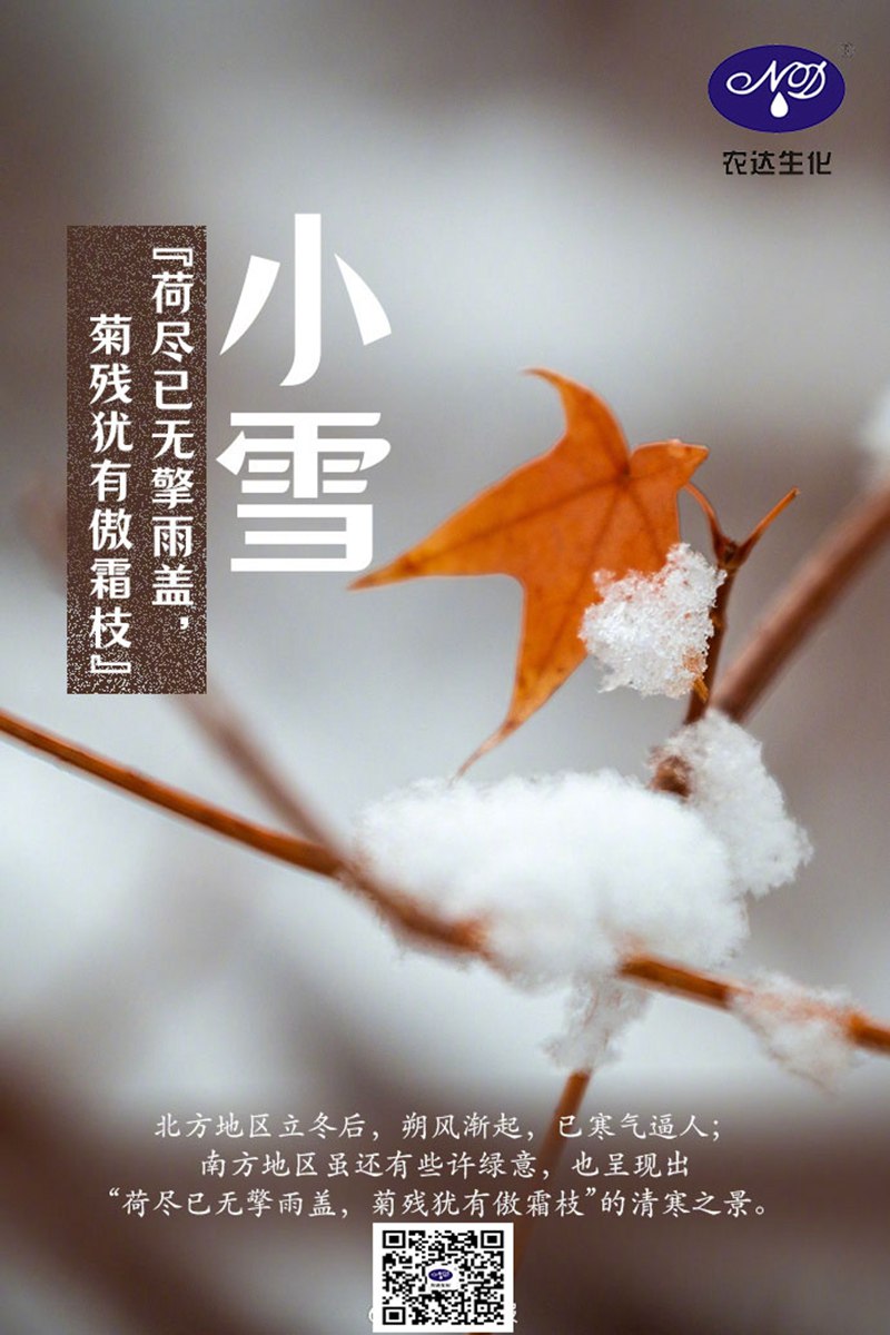 今日小（xiǎo）雪(圖1)