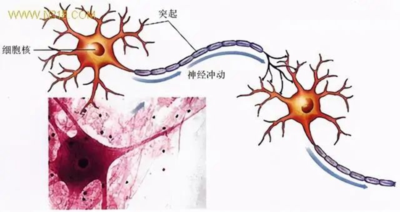 生物農藥連續使用會不會產生抗藥性？(圖1)